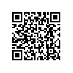 80ZLJ27MT16-3X11 QRCode