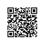 813-22-036-30-004101 QRCode