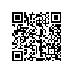 813-22-038-30-004101 QRCode