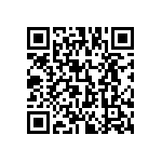 813-22-038-30-006101 QRCode