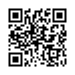 868-096 QRCode