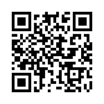 919-388P-51S QRCode