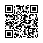 924217-32-22-I QRCode