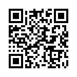 924227-28-17-I QRCode