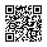 925387-1 QRCode