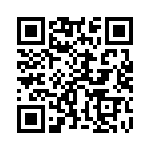 95CW06B3RART QRCode