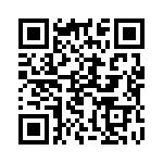 991306 QRCode