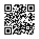 9B16000087 QRCode