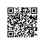 9C12063A9311FKHFT QRCode