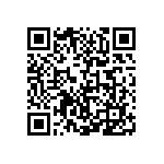 9T04021A5360BBHF3 QRCode