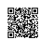 9T06031A1653FBHFT QRCode