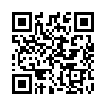 A20130204 QRCode