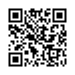 ACM22DSEI-S13 QRCode