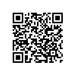 B32521C6223K189 QRCode