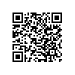 B32529C1333J289 QRCode