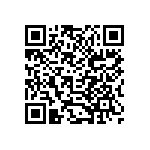 B32529C1334K000 QRCode