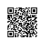 B32529C1393K289 QRCode