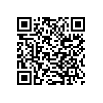 B32529E6333K289 QRCode