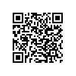 B32560J6333K289 QRCode