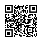 B4033NLT QRCode