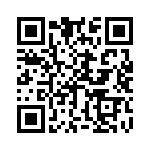 B57231V2333J60 QRCode