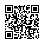 B57411V2101J62 QRCode