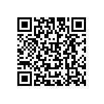 B65936A0000T001 QRCode