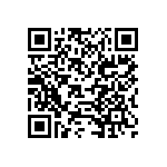 B88069X5531T203 QRCode