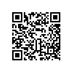 BCS-133-L-D-PE-013 QRCode