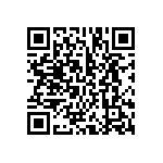 BCS-133-L-D-PE-040 QRCode