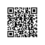 BCS-133-L-D-TE-024 QRCode