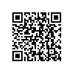 BF016010BE95013BH1 QRCode