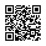 BFC233816333 QRCode