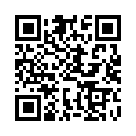 BFC233865333 QRCode