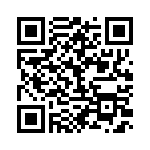 BFC233866333 QRCode