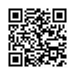 BFC233911333 QRCode