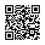 BFC233921333 QRCode