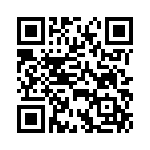 BFC233990024 QRCode