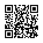 BFC236869333 QRCode