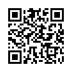 BFC238046333 QRCode