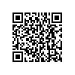 BKT-117-03-L-V-P QRCode