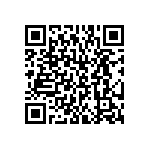 BKT-121-03-L-V-S QRCode