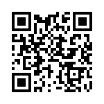 BKT-123-01-L-V QRCode