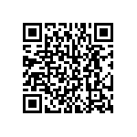 BKT-131-01-L-V-S QRCode