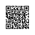 BKT-131-04-L-V-P QRCode