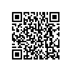 BKT-131-04-L-V-S QRCode