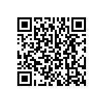 BKT-133-02-F-V-P QRCode