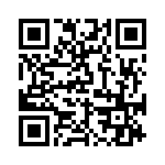 BKT-137-02-L-V QRCode