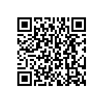 BKT-153-02-F-V-S QRCode