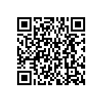 BKT-161-03-F-V-S-A-P QRCode